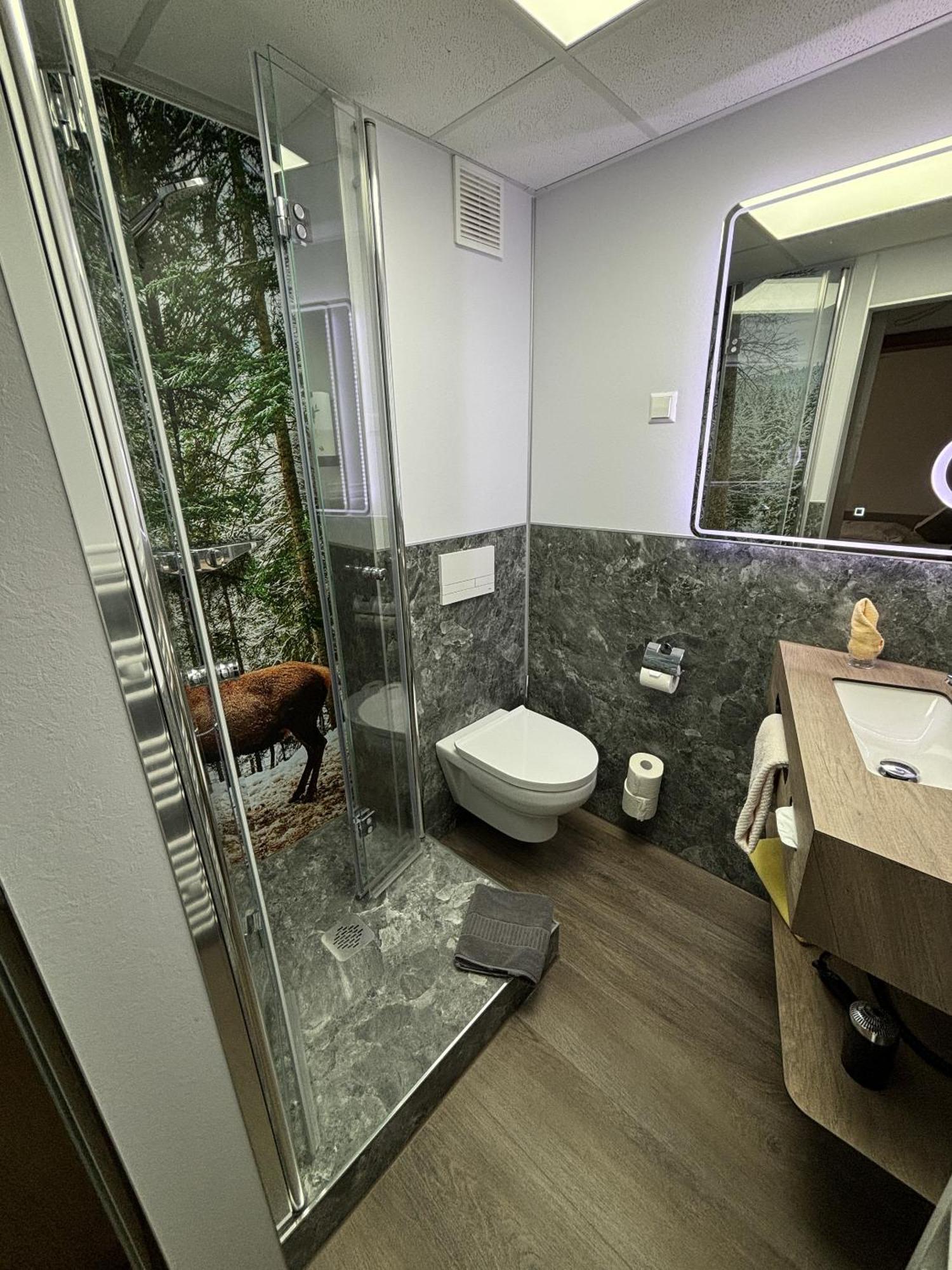 Landgasthaus Zur Linde, Neusatz Bühl Kamer foto